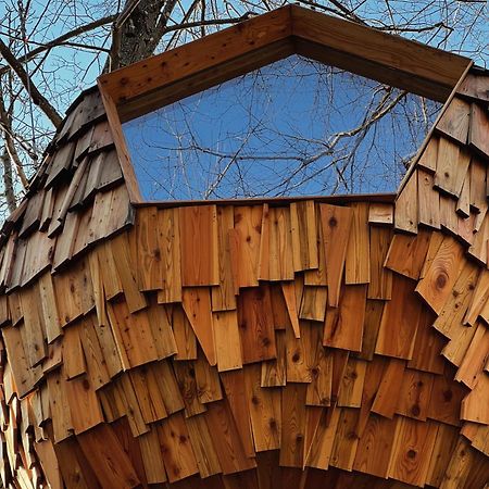 T'Glamp Bee House Hotel Rovte Kültér fotó